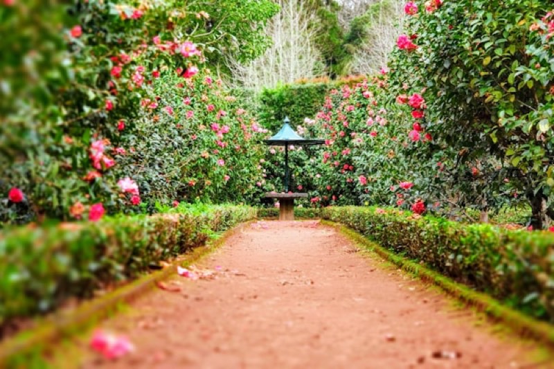 Création de jardin